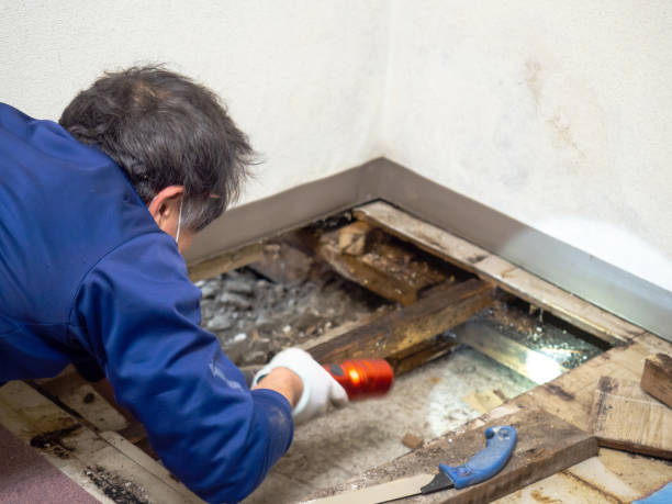 Best Residential Mold Removal  in Schlusser, PA