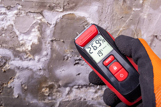 Mold Removal Process in Schlusser, PA
