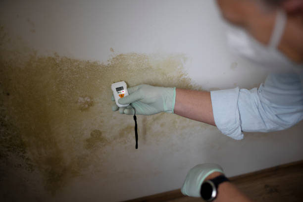 Best Mold Cleaning Services  in Schlusser, PA