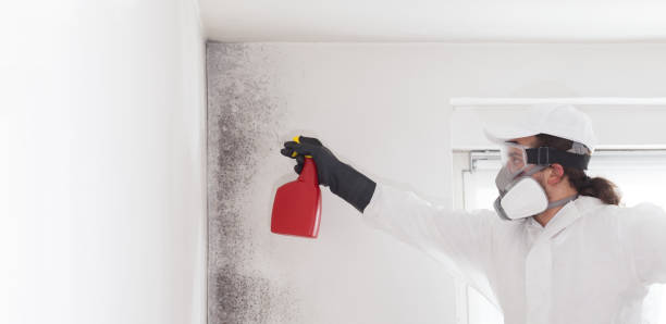 Best Professional Mold Removal  in Schlusser, PA