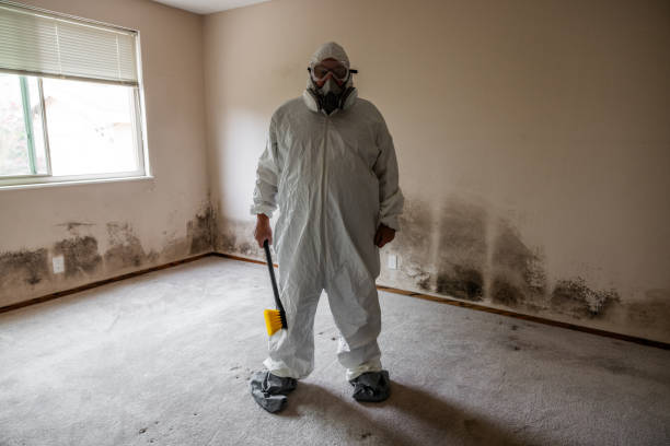 Crawl Space Mold Removal in Schlusser, PA